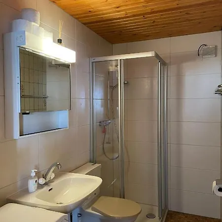 Gemuetliche Wohnung Mit Traumaussicht! Albinen Exterior photo